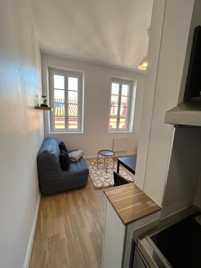 Le Cygne Blanc Appartement Toulouse Buitenkant foto